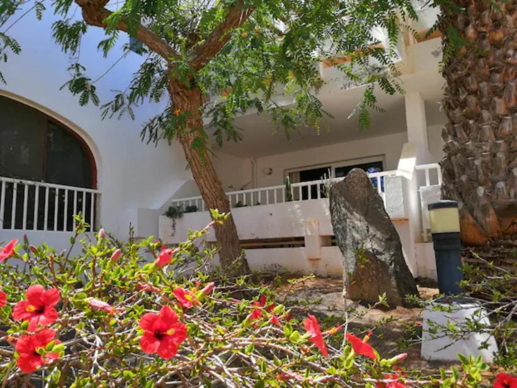 Comfortable Cleo Apartment With Large Terrace Costa Teguise Kültér fotó